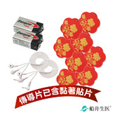 船井®金版燃燒機線材電池組